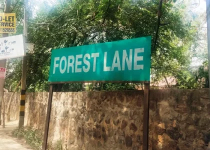 Forest Lane, Delhi