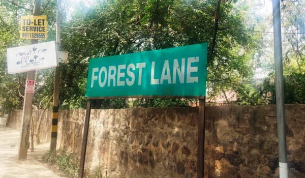 Forest Lane, Delhi