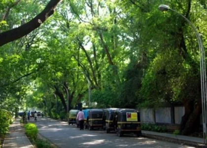 Koregaon Park Lane Number 6, Pune