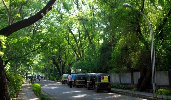 Koregaon Park Lane Number 6, Pune